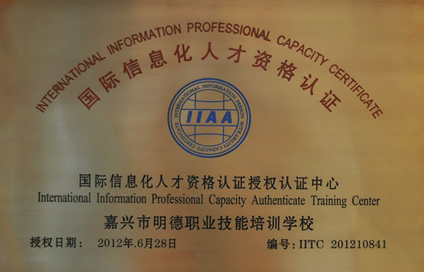 国际信息化人才资格认证