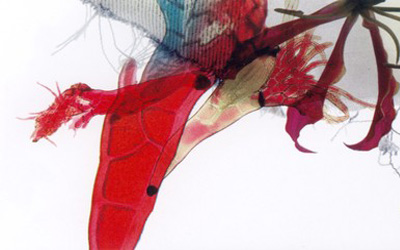 濮院CorelDRAW培训