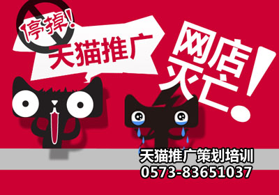 天猫商城推广策划