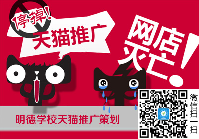 平湖天猫推广策划